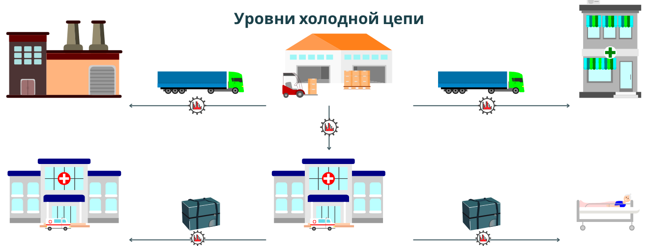 уровни холодовой цепи