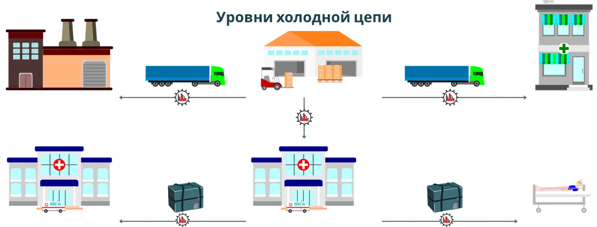 уровни холодовой цепи